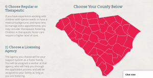 State of South Carolina map, outlines of counties