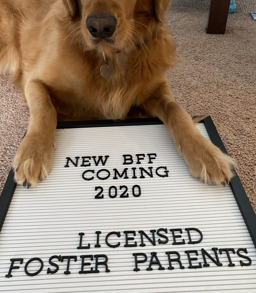 New BFF, Licensed Foster Parents