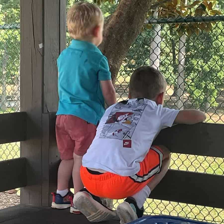 Brothers watching something from a park bench